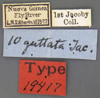 Media type: image; Entomology 19417   Aspect: labels